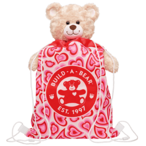 Groovy Hearts Bear Carrier - Build-A-Bear Workshop Australia