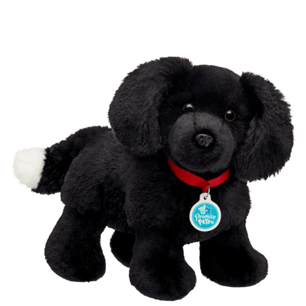 Promise Pets Black and White Dog - Build-A-Bear Workshop Australia