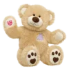 Champ Bear - Build-A-Bear Vault Collection - Build-A-Bear Workshop Australia