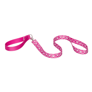 PP PINK PAW LEASH