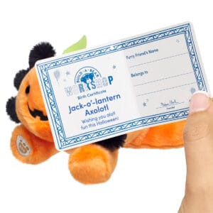 Alternative view of WS Mini Beans Jack-O-Lantern Axolotl